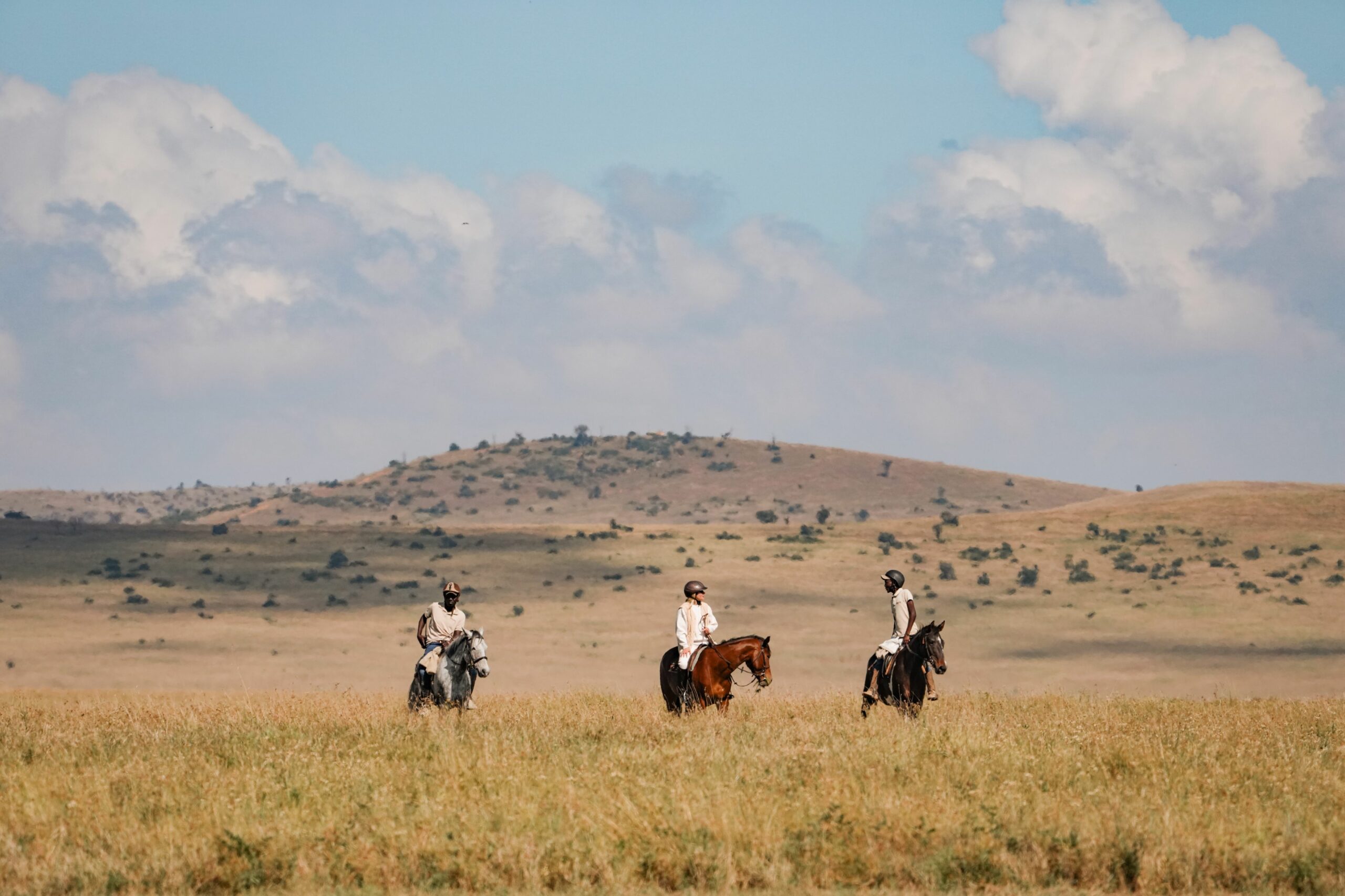 Horse Riding