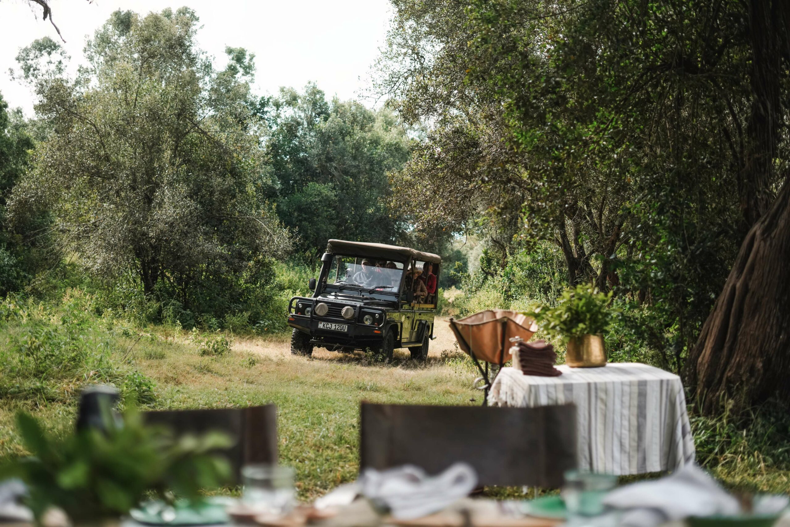 Picnic Lunches