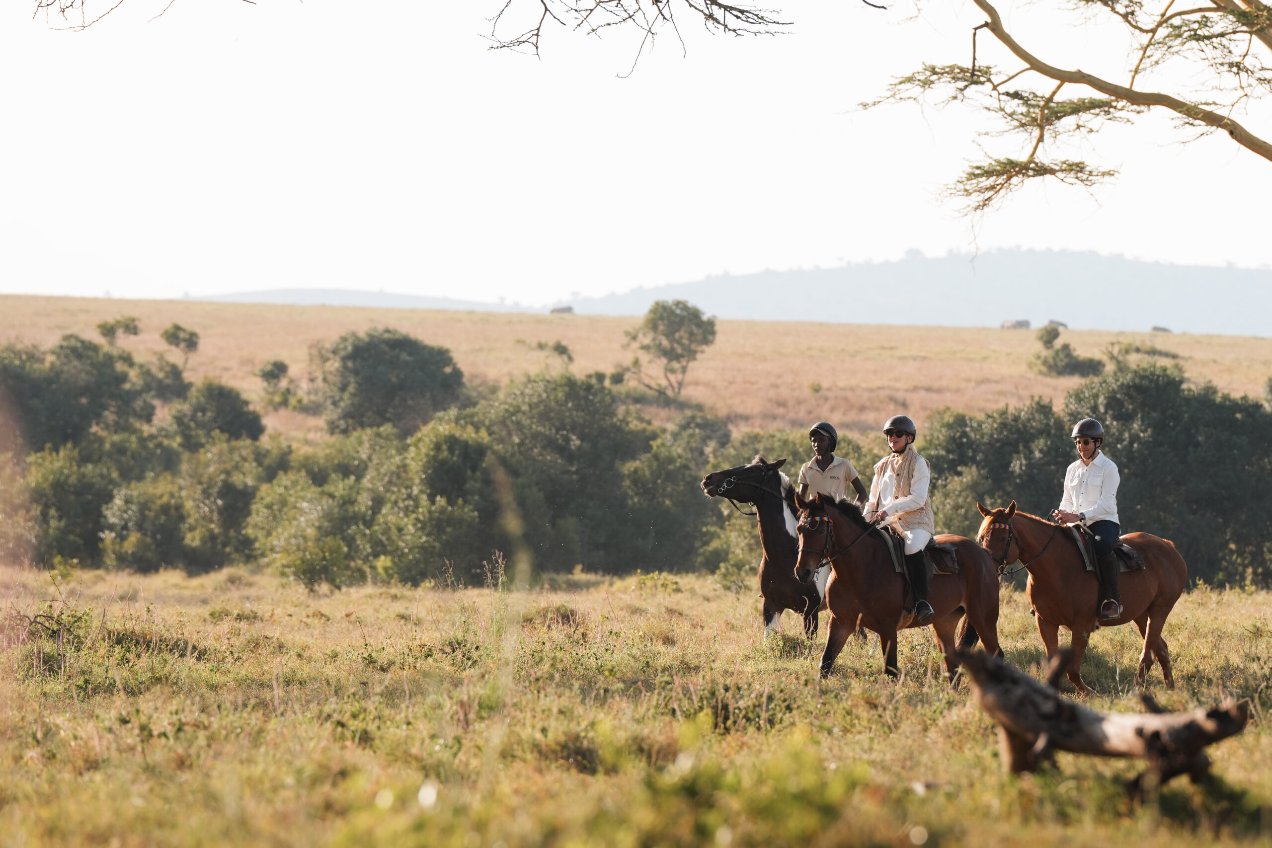 Why Small-Group Safaris at Lengishu Create Unforgettable Bonds